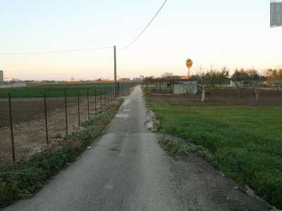 Imbocchiamo sulla sinistra strada Torre del Diavolo, un viottolo che costeggia orti di cicorie e cavoli...